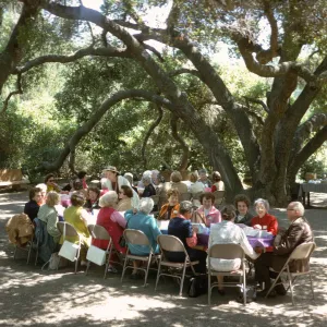 Approximately two dozen well-dressed people sit in folding chairs at 2 large tables set up in the shade of two large, split-trucked trees.