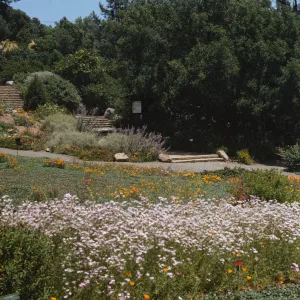 A meadow of orange, yellow, white, and pink flowers at the base of a set of wide, rough-hewn, stone stairs that ascend amid a landscape of trees, bushes, and flowers. A large, informational sign is located in the shade beside the stairs.