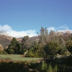 A gravel path crosses a clearing ina forest of evergreen trees and orange-flowered bushes, forking around a large boulder. Steep, snow-capped mountains are visible in-the background. 