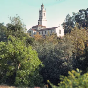 A white, L-shaped church building with a square tower is visible above a thick line of trees. 