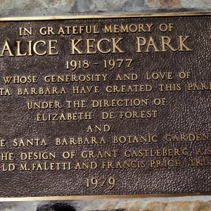 A brass-colored plaque that reads "In greateful memory of Alice Keck Park. 1918-1977, whose generosity and love of Santa Barbara have created this park under the direction of Elizabeth Forest and the Santa Barbara Botanical Garden and the design of Grant Castleburg A.S.L.A. Reginald M. Faletti and Francis Price, trustees, 1979."
