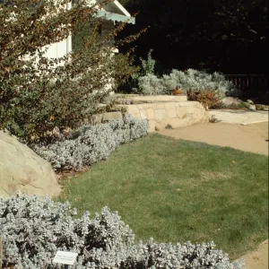 Home Demonstration Garden, Cottage