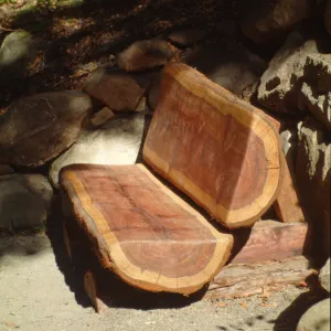 Redwood Section, new wood bench