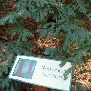 Redwood Section sign
