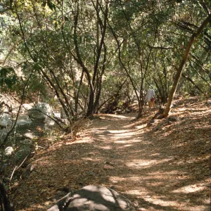 Canyon Trail, SBBG