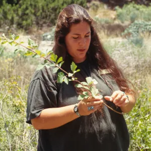lecturer for SBBG 'Indian choice of plants'