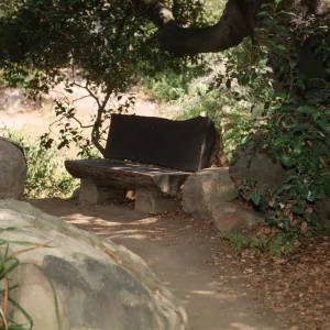 wood bench above the Arroyo Section
