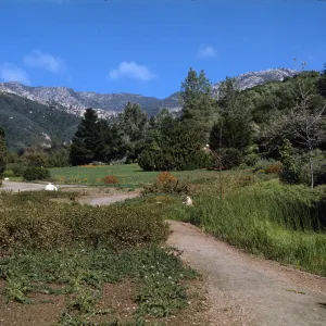 SBBG Meadow