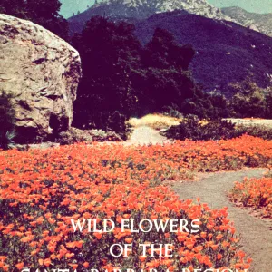 Wildflowers of the Santa Barbara Region, book cover