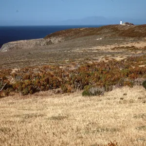 East Anacapa Island, looking East