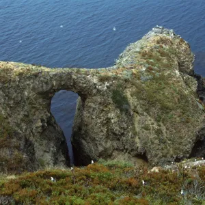 Middle Anacapa Island, Arch West of Sheep Ranch