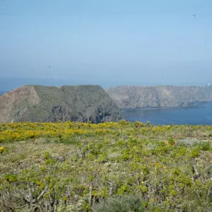Lighthouse from Middle Anacapa Island