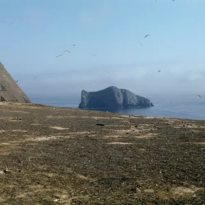 Sutil Island from Santa Barbara Island