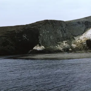 Santa Barbara Island, May 1967