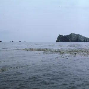 Sutil Island, May 1967