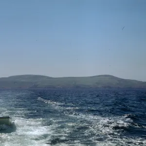 Santa Barbara Island from boat
