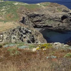 Santa Barbara Island