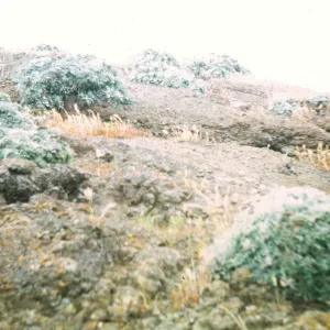 Santa Barbara Island