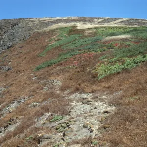 Santa Barbara Island
