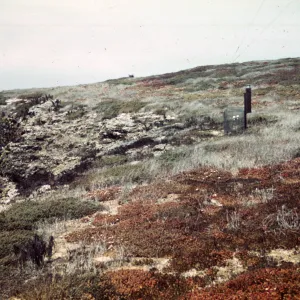 Santa Barbara Island, Signal Peak