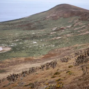 Santa Barbara Island, North Peak