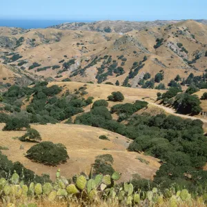 Santa Catalina Island