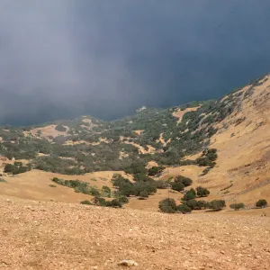 Santa Catalina Island