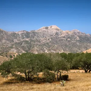 Santa Catalina Island, Mt. Orizaba