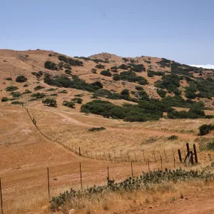 Santa Catalina Island - overgrazing damage
