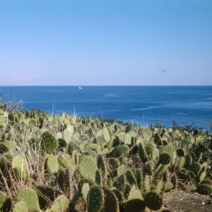 Santa Catalina Island, distant view of Ship Rock & Bird Rock (Prickly-pear)