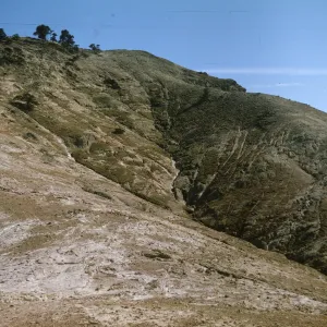 Santa Cruz Island, north side of Sierra Blanca summit
