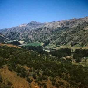 Central Valley, Canyon Medio, Santa Cruz Island