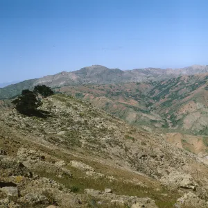 Sierra Blanca summit, Santa Cruz Island