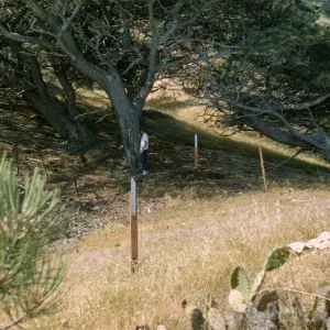 Lower Torrey Pines Station, Santa Rosa Island