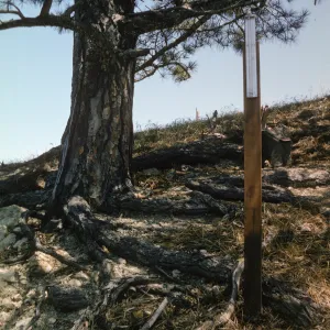 Upper Torrey Pines Station, Santa Rosa Island