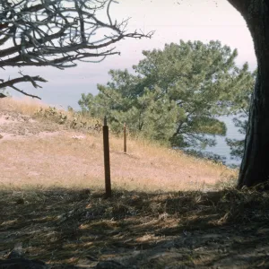 Lower Torrey Pines Station, Santa Rosa Island