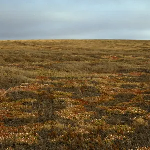 San Clemente Island