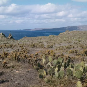 San Clemente Island, Pyramid Head to China Point