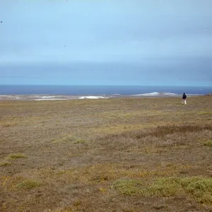 San Miguel Island, grassy mesa west of Green Mountain