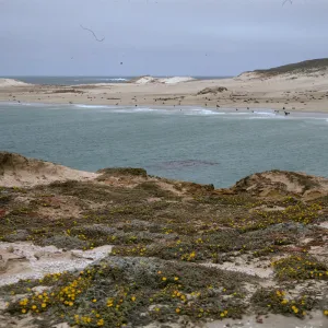San Miguel Island