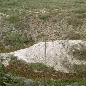 San Miguel Island, NPS transect