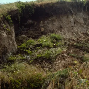 San Miguel Island