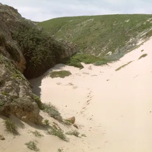 NPS dune drift measurement on San Miguel Island, Willow Canyon