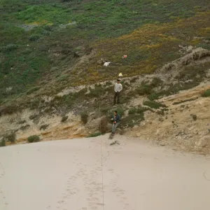 NPS dune transect, San Miguel Island