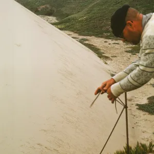 NPS dune transect, San Miguel Island, Willow Canyon