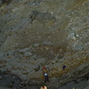 San Miguel Island, Willow Canyon
