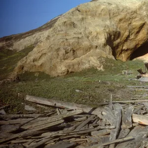 lumber pile, northeast Simonton cave, San Miguel Island