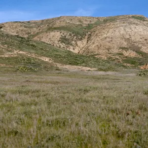 San Miguel Island