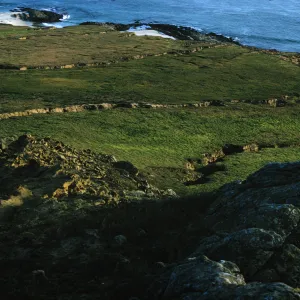 San Miguel Island