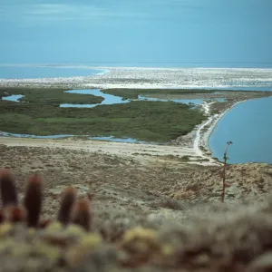 Santa Margarita Island